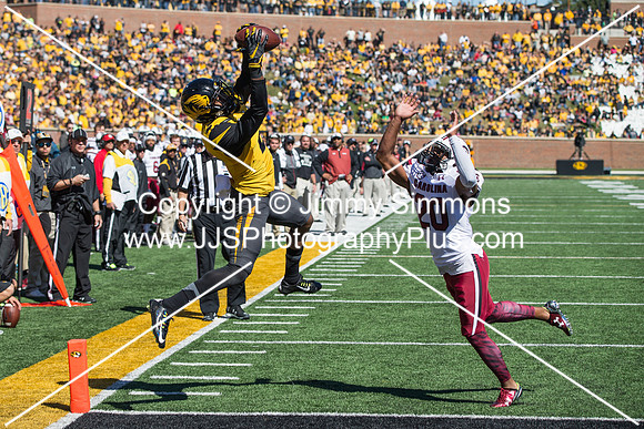 NCAA FOOTBALL: OCT 03 South Carolina at Missouri