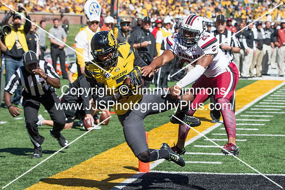 NCAA FOOTBALL: OCT 03 South Carolina at Missouri