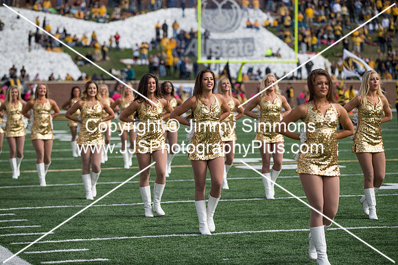 NCAA FOOTBALL: OCT 03 South Carolina at Missouri